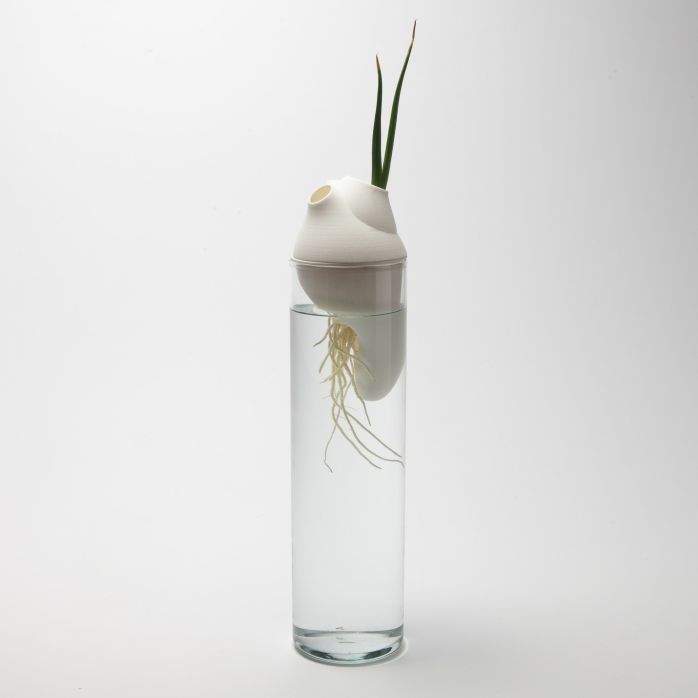 Générescence - Petit vase 